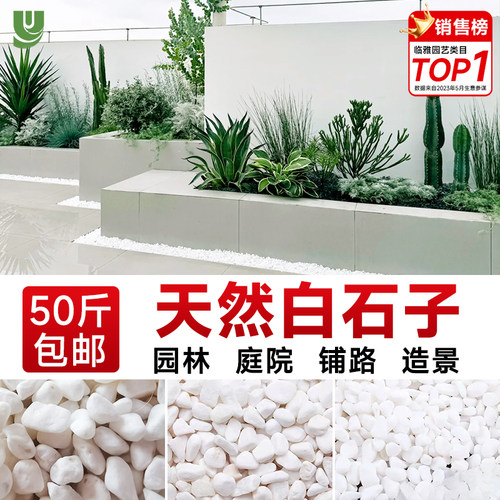 天然白石子碎石庭院铺路造景景观