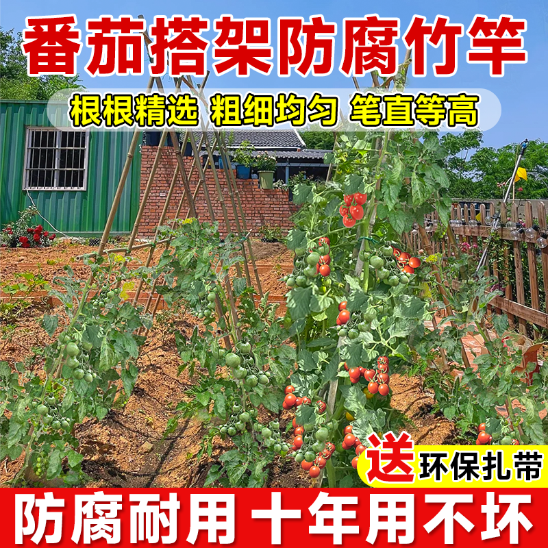 番茄搭架竹竿菜园蔬菜黄瓜豆角架杆竹篱笆栅栏小竹子细竹竿葡萄架,鲜花速递/花卉仿真/绿植园艺,花架,淘宝优惠券,粉丝福利购,淘宝优惠卷