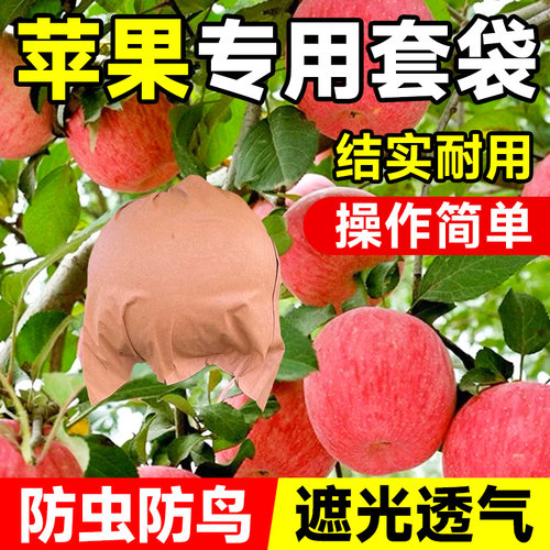 临雅苹果套袋防虫防鸟