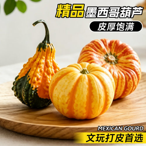 墨西哥葫芦招财摆件佛手柑鲜果桌面客厅装饰香橼天然家居好物