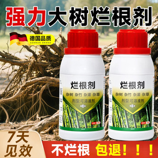 大树烂根专用药强力烂根剂枯树王树木灭杂除草竹子腐树根粉正品
