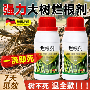 大树烂根专用药强力烂根剂枯树王树木一滴死灭杂除草竹子腐树根粉