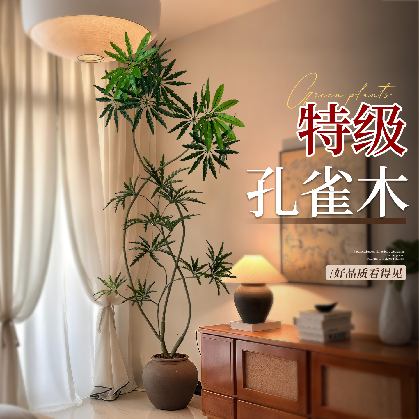 「孔雀木」室内轻奢网红ins绿植