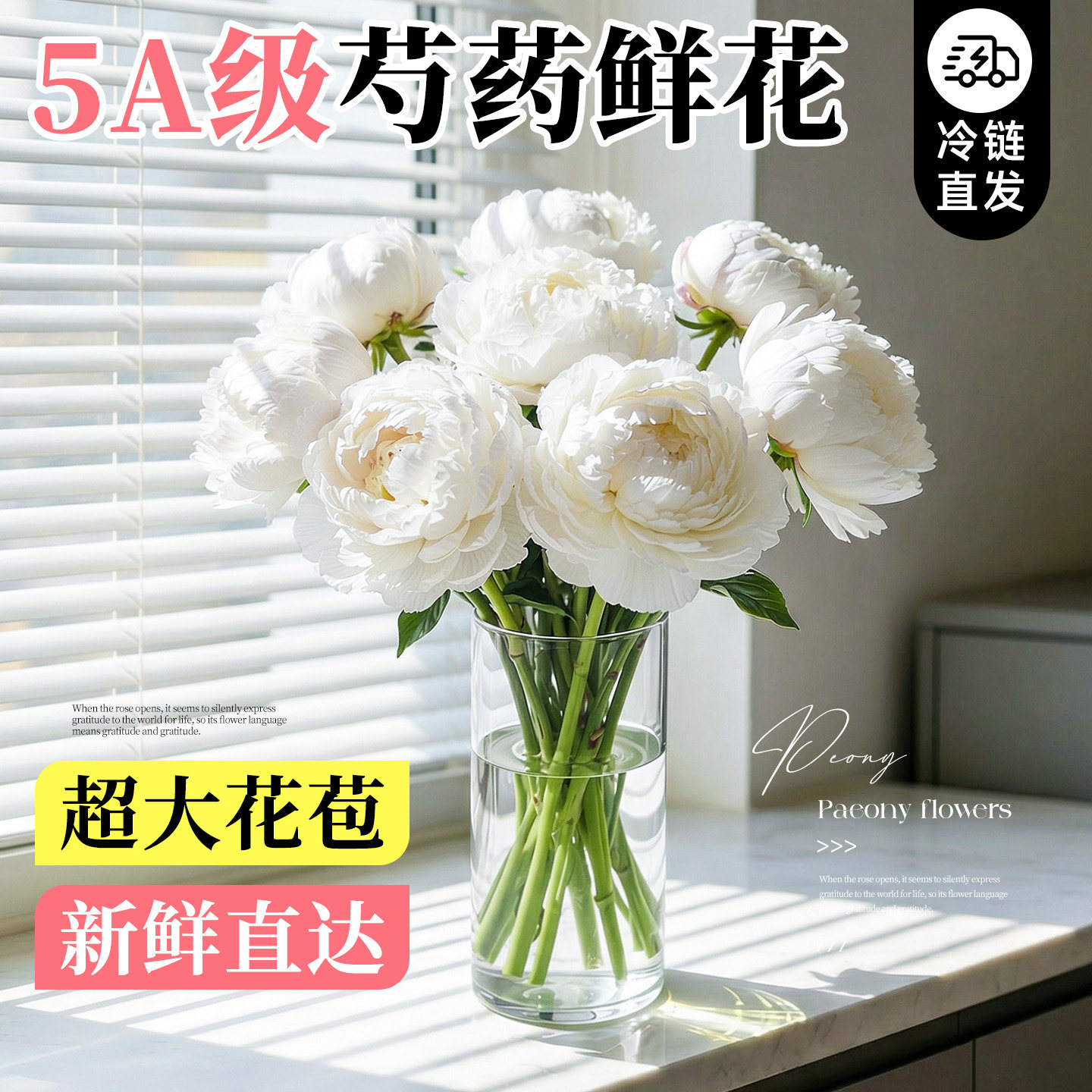芍药鲜花云南直发重瓣芍药母亲节鲜切花束羞涩女王客厅水培绿植物
