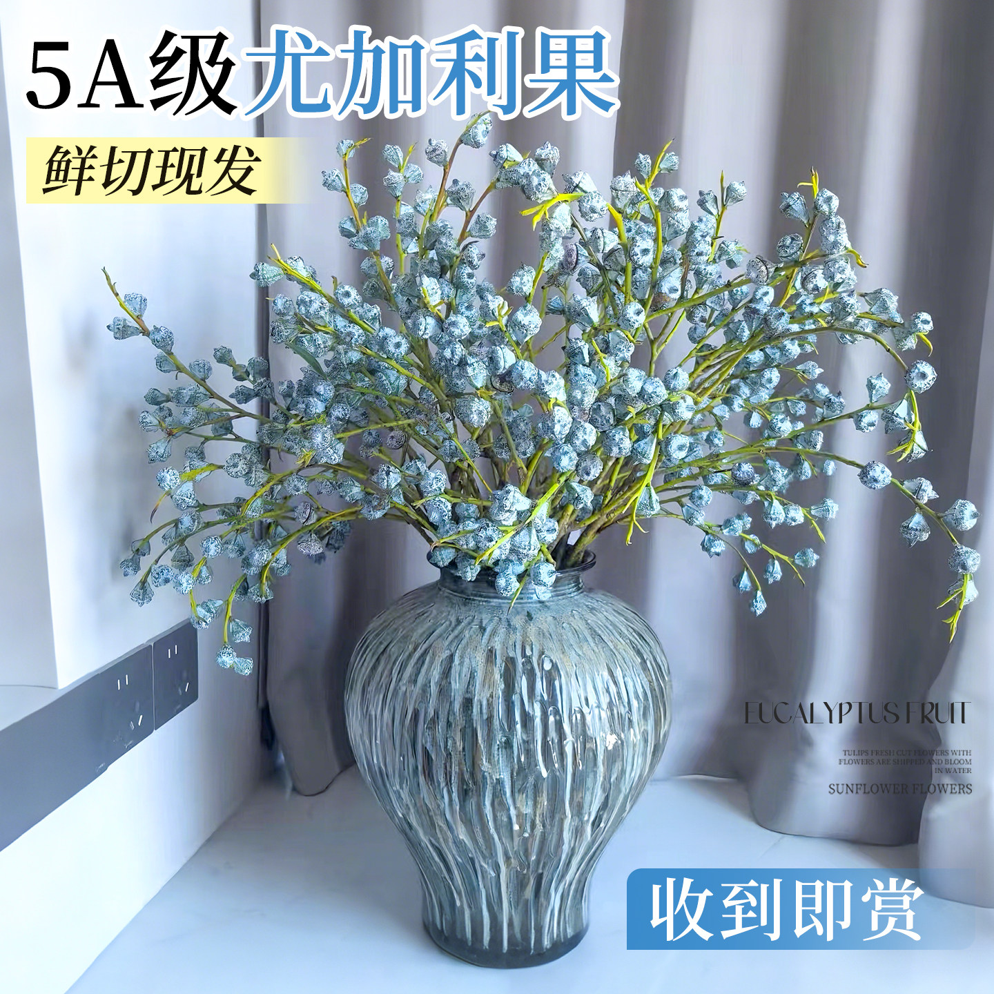 钻石尤加利果鲜花干花干果真花鲜切新果大枝云南基地直发现采花材,鲜花速递/花卉仿真/绿植园艺,花材,淘宝优惠券,粉丝福利购,淘宝优惠卷