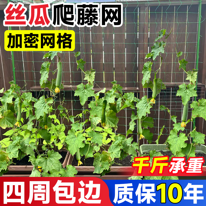 丝瓜爬藤网加粗植物豆角花葡萄架西瓜攀爬网蔬菜瓜果尼龙搭架子网