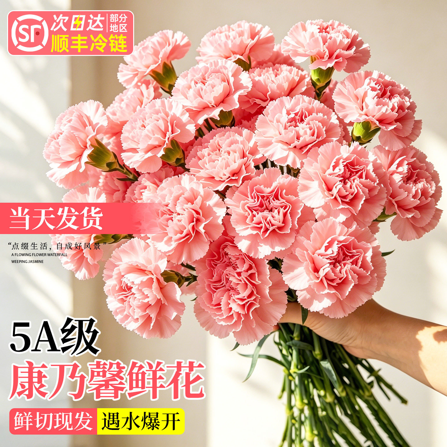 康乃馨鲜花云南基地直发母亲节礼物花束插花鲜切花顺丰次日达批发