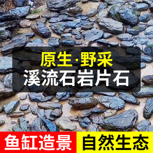 大块原生溪流石片石鱼缸装饰造景摆件爬台铺底石底沙异形乌龟晒台