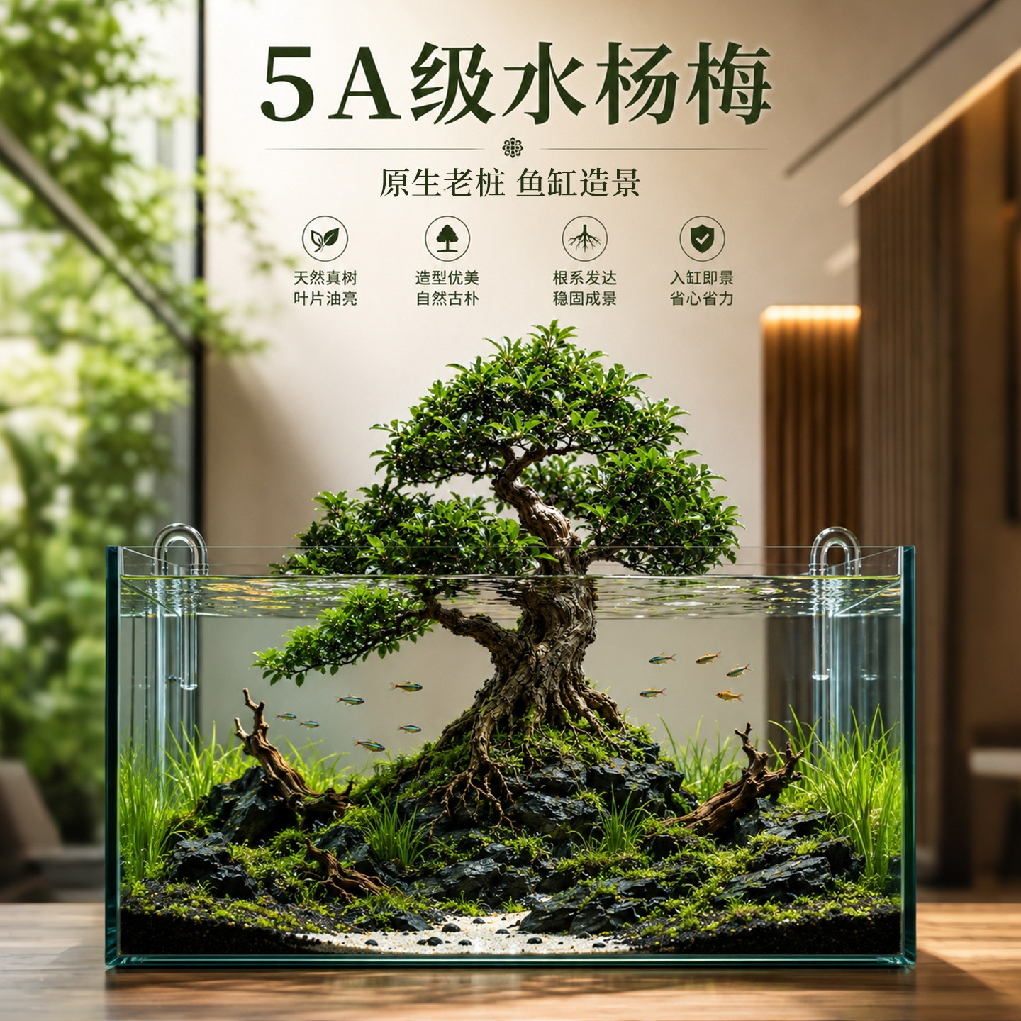 水杨梅水培老桩生态鱼缸造景绿植水草雨林水陆盆栽净化懒人植物