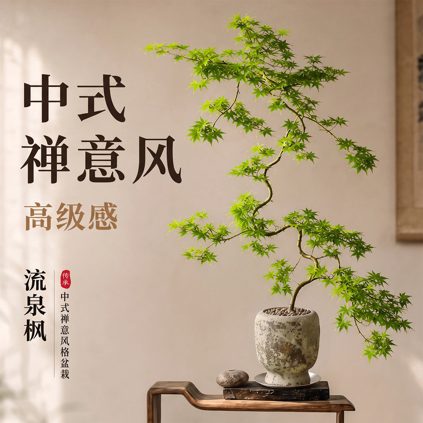 5A精品造型流泉枫盆栽图片