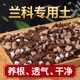 兰花专用土植料营养土君子兰蝴蝶兰颗粒种植通用高端种兰花松树皮