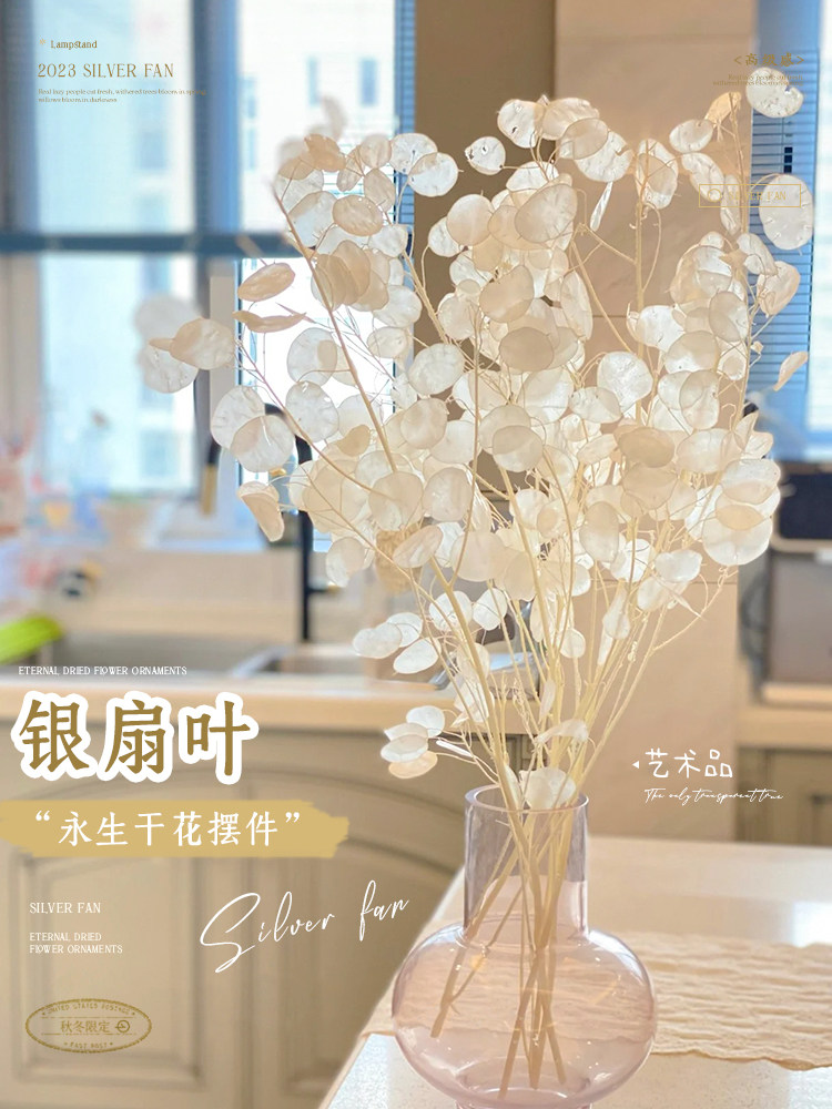 高端银扇叶网红永生干花花束客厅摆设室内干枝摆件高级感真花装饰