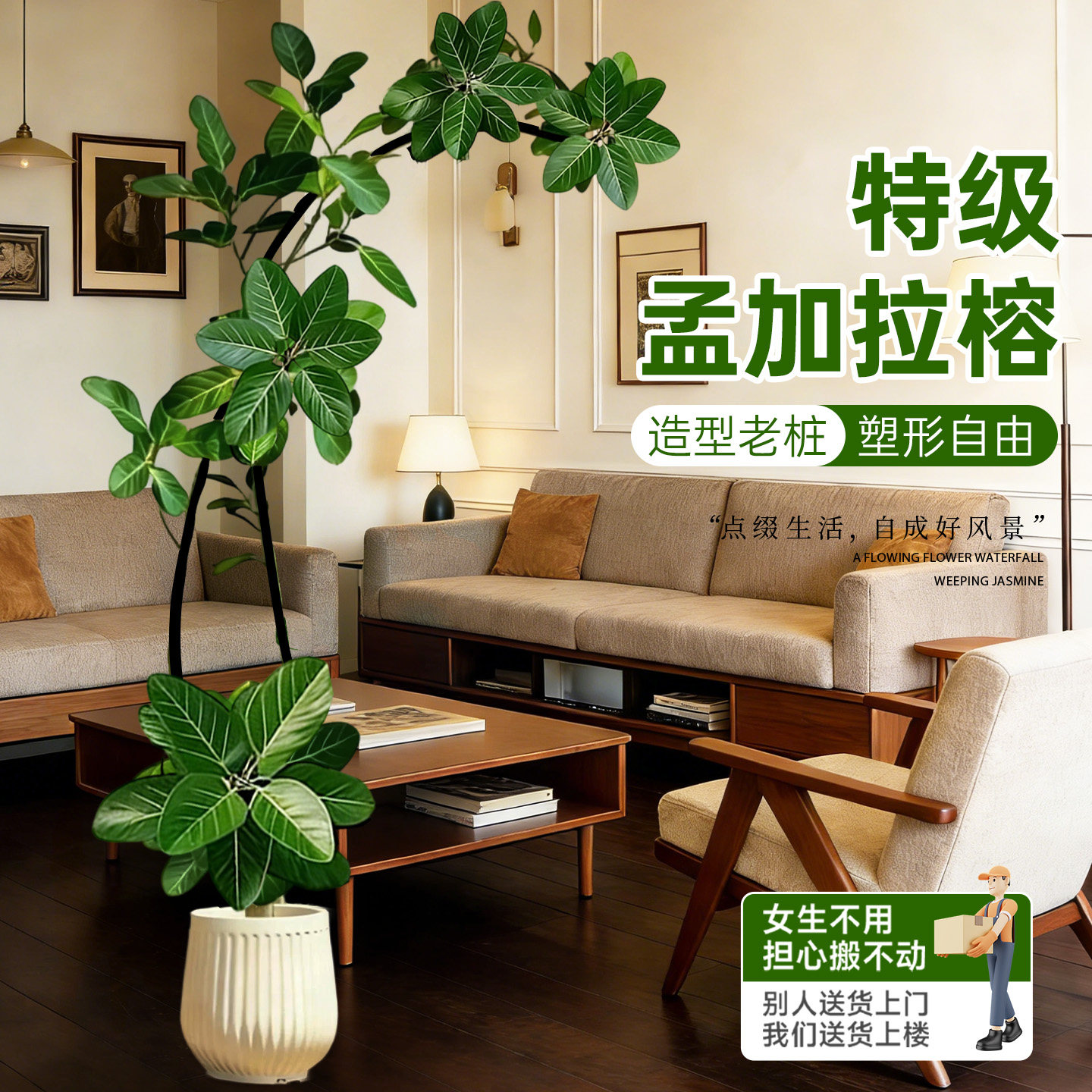 孟加拉榕盆栽适合家里客厅养的大型绿植高级感真树好养活黄金榕树,鲜花速递/花卉仿真/绿植园艺,大型绿植/成品组合盆栽,淘宝优惠券,粉丝福利购,淘宝优惠卷