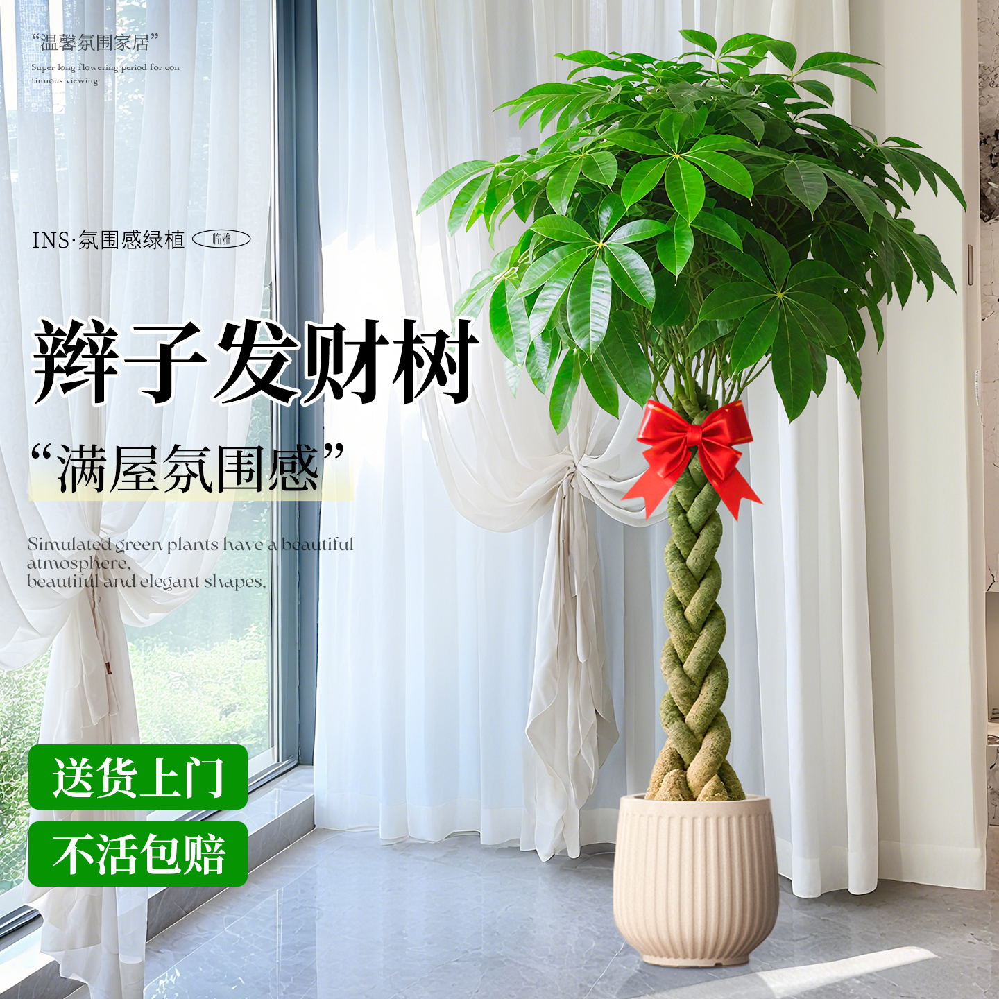 发财树客厅盆栽大号招财树