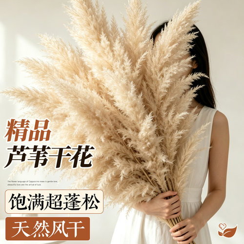 【精品】芦苇干花高端轻奢摆件
