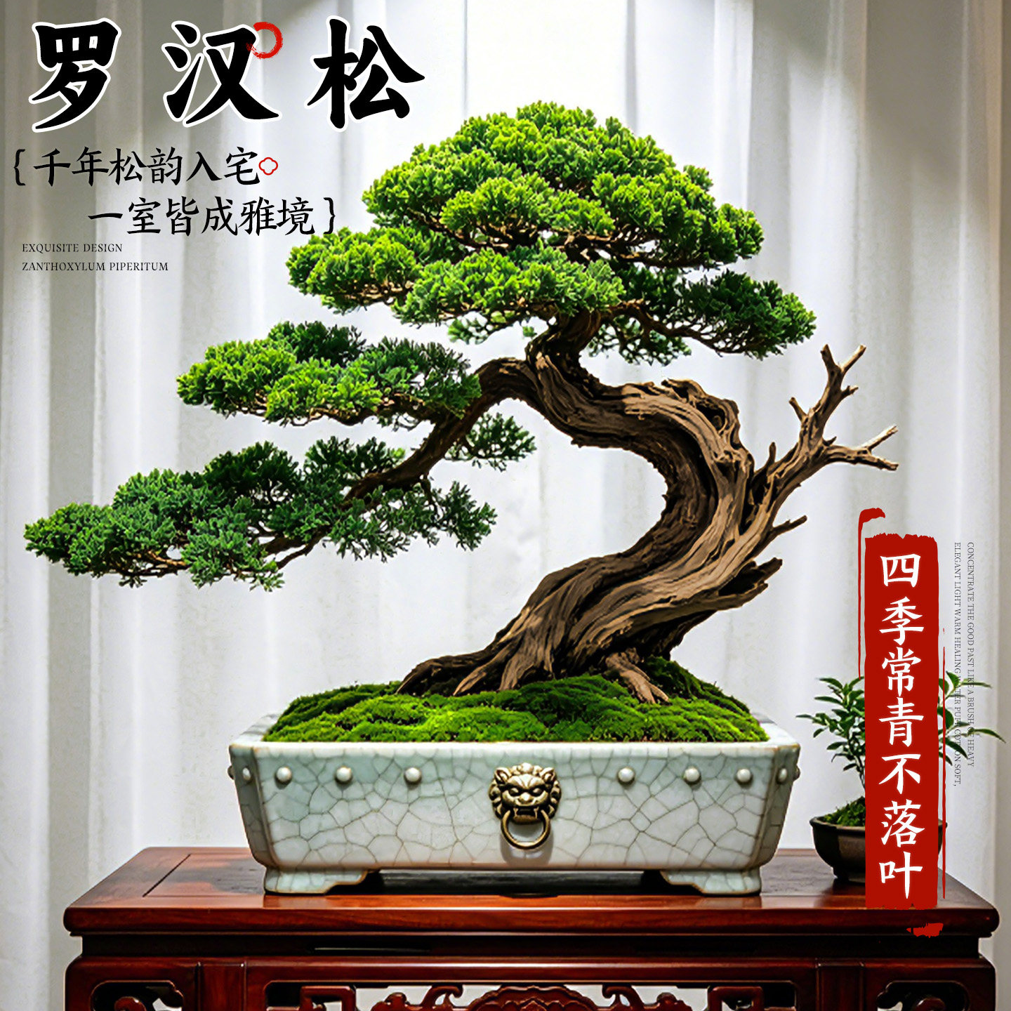 罗汉松盆景老桩迎客松造型室内大型客厅办公桌绿植物室内耐阴好养