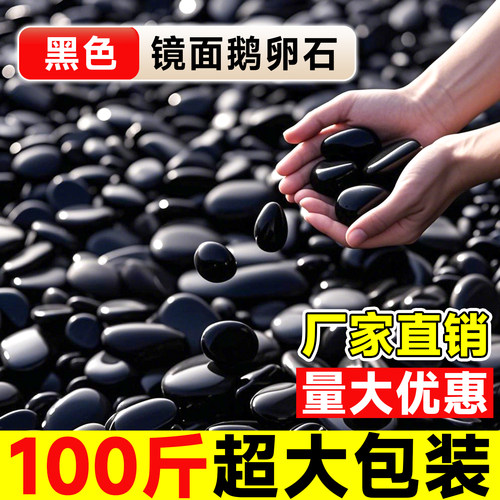100斤更实惠精抛鹅卵石