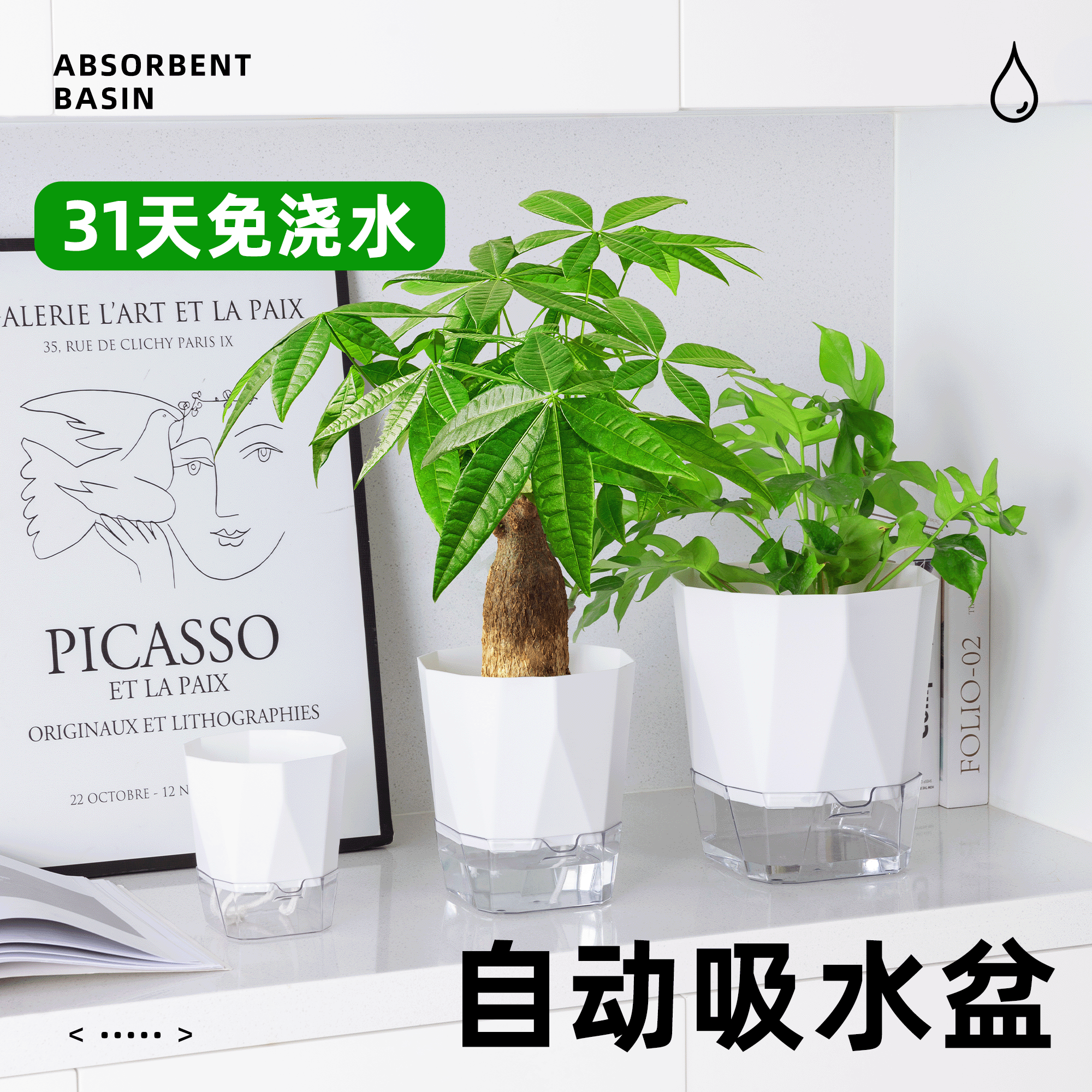 自动吸水懒人花盆免浇水多肉绿萝月季室内阳台创意塑料水培种植盆