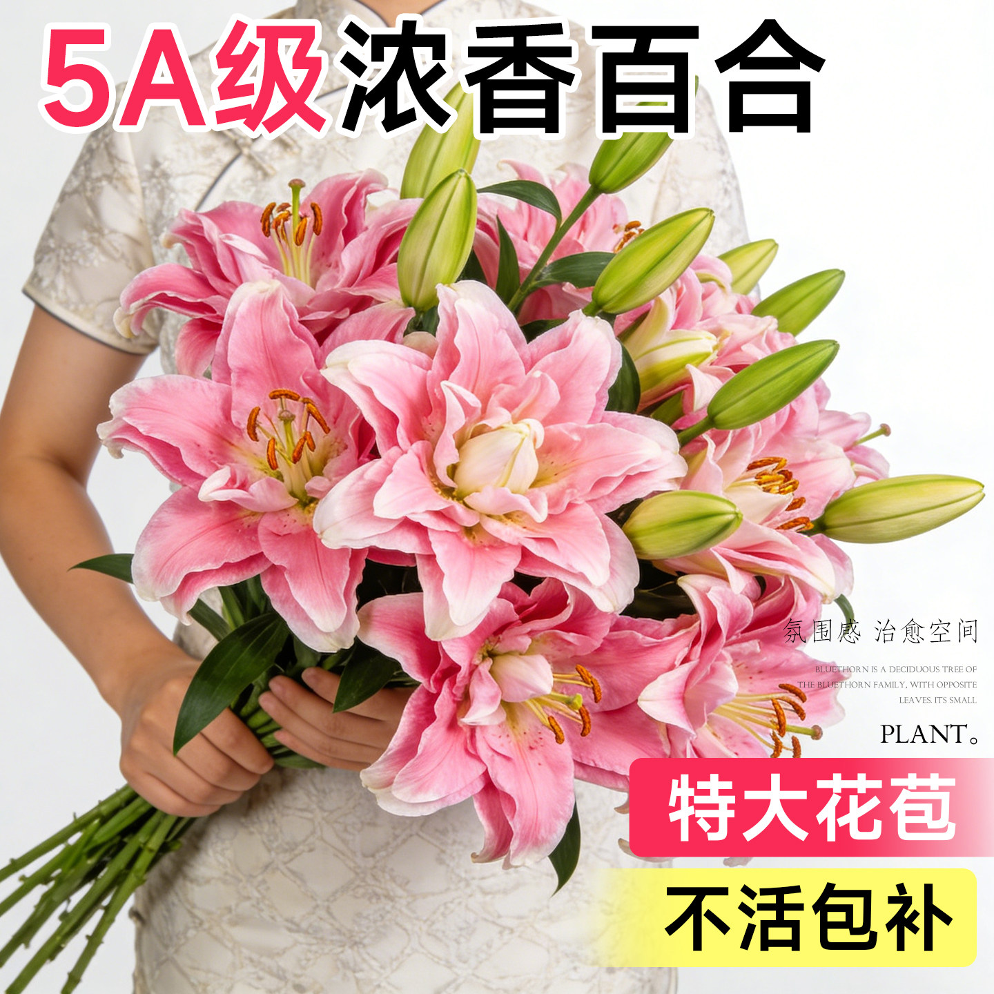 百合花鲜花重瓣香水百合鲜切花云南基地直发家用插花花卉玫瑰顺丰