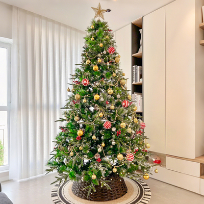 圣诞树云杉真树客厅装饰不活包赔