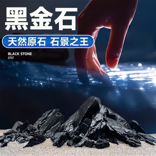 黑金石鱼缸造景装 饰摆件原生溪流缸造景石草缸水族箱乌龟晒台石头