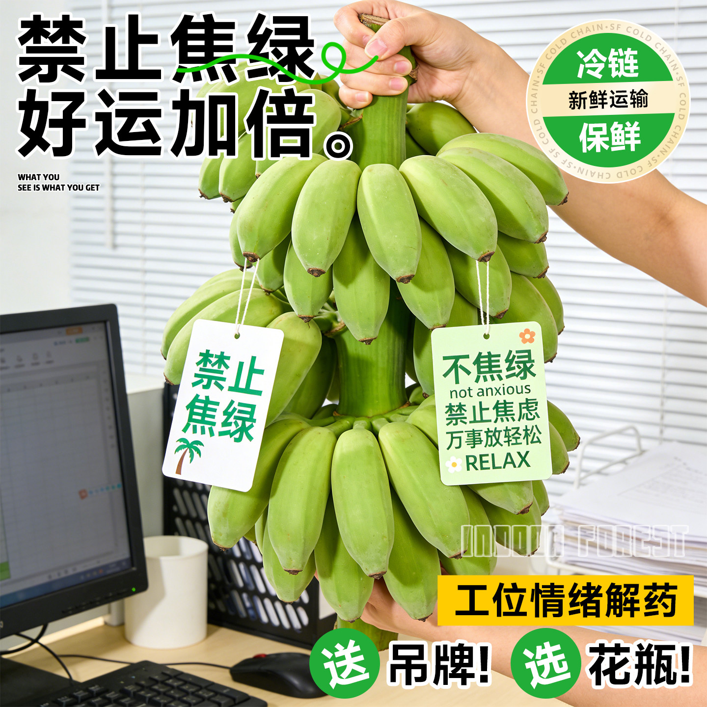 禁止焦绿香蕉办公室整串带杆桌面水培绿植可观赏食用室内水果盆栽