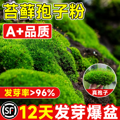 【苔藓孢子粉】12天成活不活包赔