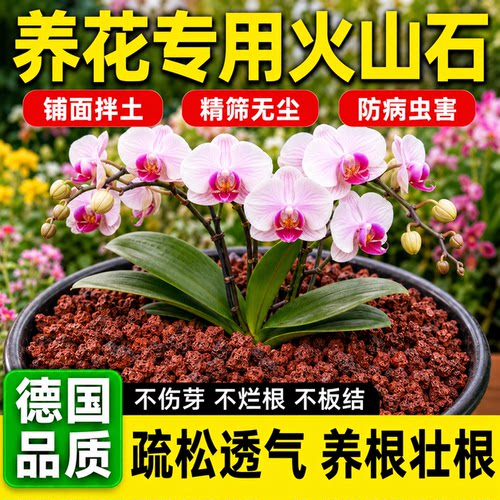【德国品质】花卉专用火山石颗粒