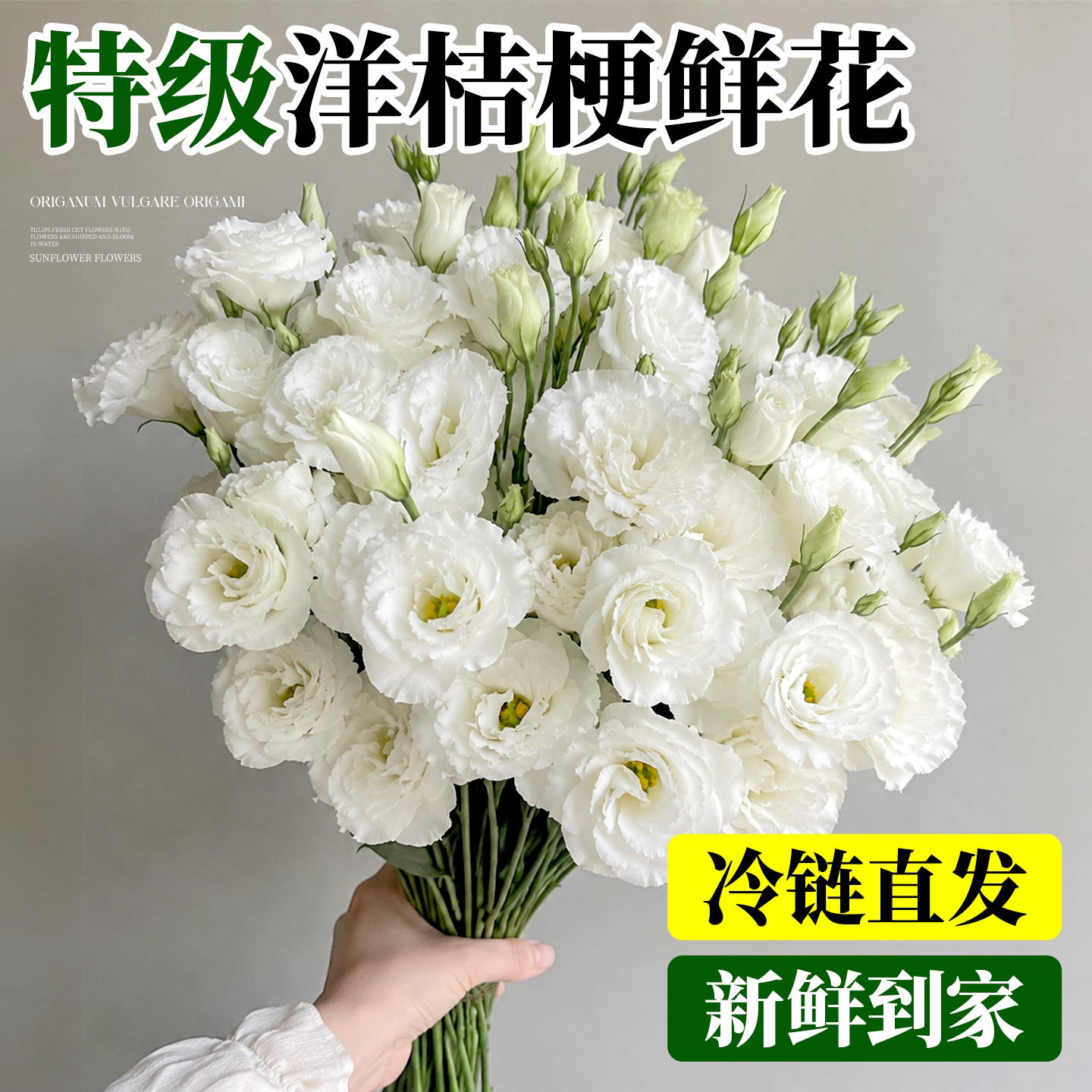 【当季现摘】洋桔梗爆花机器图片