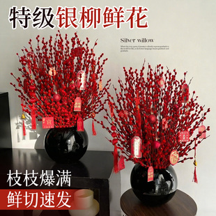 银柳真花鲜枝干花花束室内客厅摆设年宵花耐寒迎新年花卉水养植物