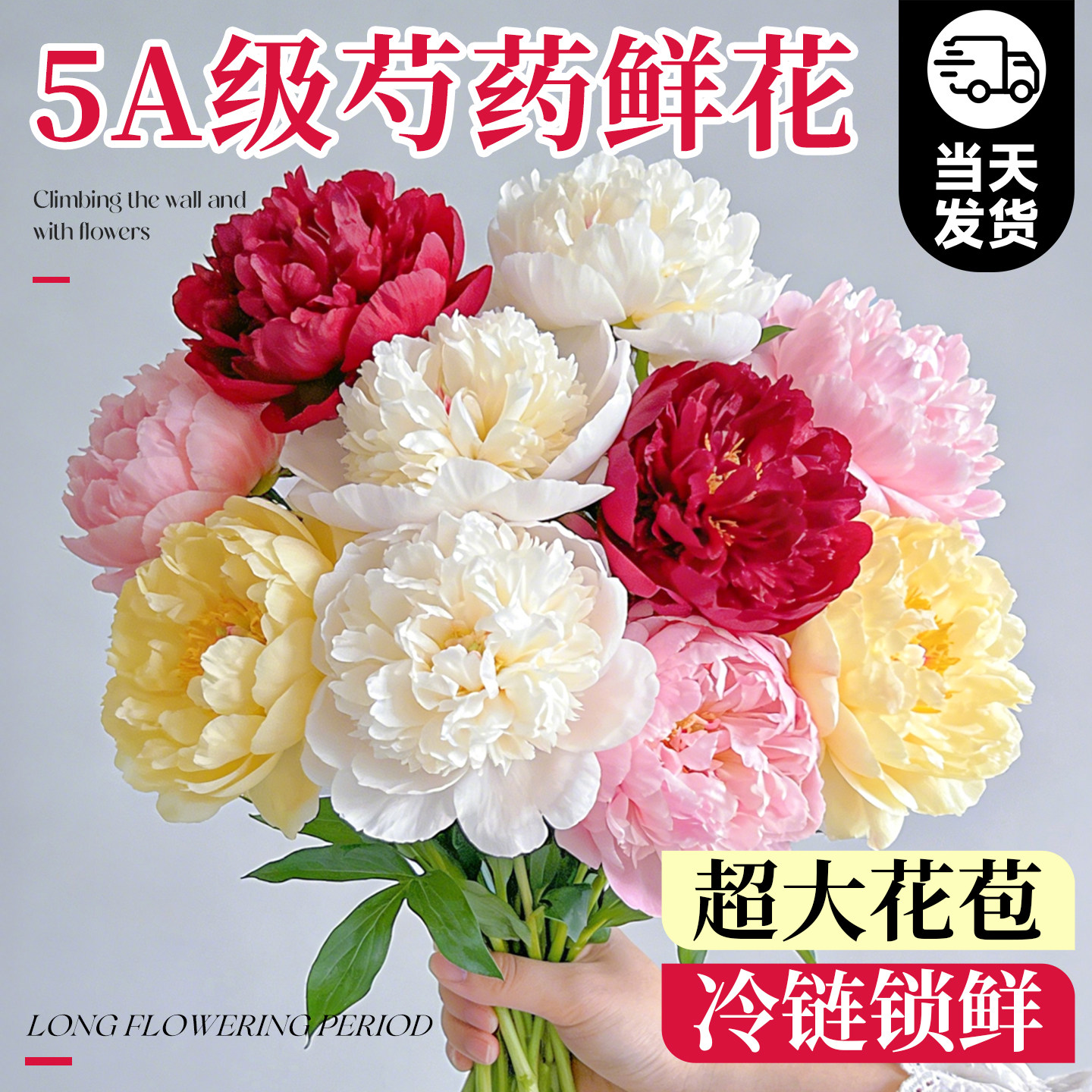 芍药鲜花云南直发重瓣鲜切花束进口落日珊瑚室内水养水培花卉植物