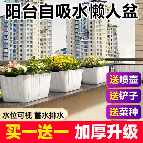 家庭阳台懒人专用养花种菜吸水盆