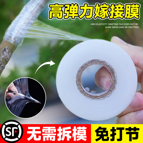 无需打结自粘式园林专用嫁接膜
