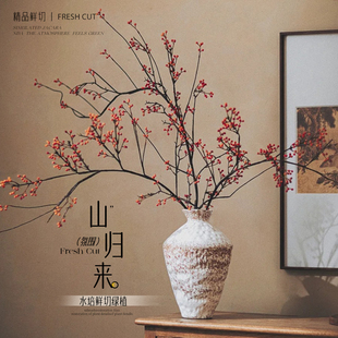 山归来鲜切鲜花云南基地直发家用插花干花水培南蛇藤花期超长的花