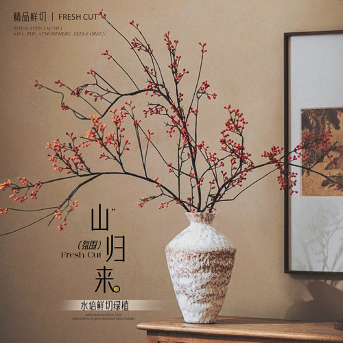 【诧寂氛围干枝】山归来鲜切干花
