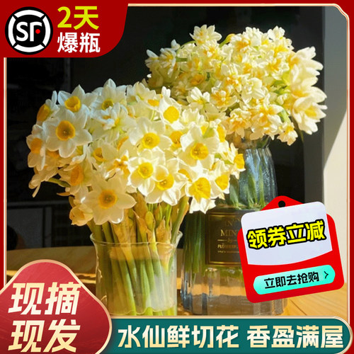 【现摘鲜切花】2天爆瓶芳香满屋