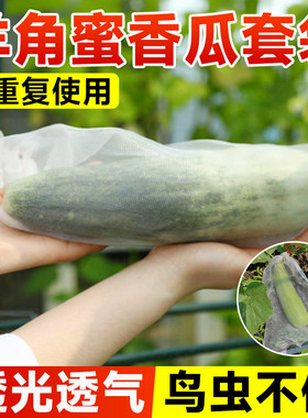 香瓜套袋羊角蜜甜瓜防虫防鸟