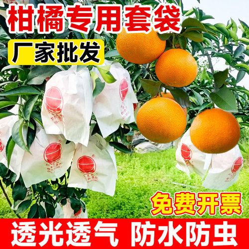 柑橘套袋专用袋耙耙柑橘子果袋