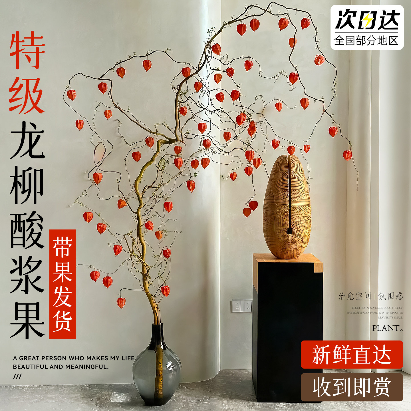 龙柳酸浆果鲜切花枝黄金龙柳水培植物云南直发四季高级感侘寂风,鲜花速递/花卉仿真/绿植园艺,花材,淘宝优惠券,粉丝福利购,淘宝优惠卷