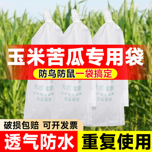 玉米防鸟套袋防鼠防虫专用袋防鸟神器农用保护套蔬菜苦瓜丝瓜纸袋