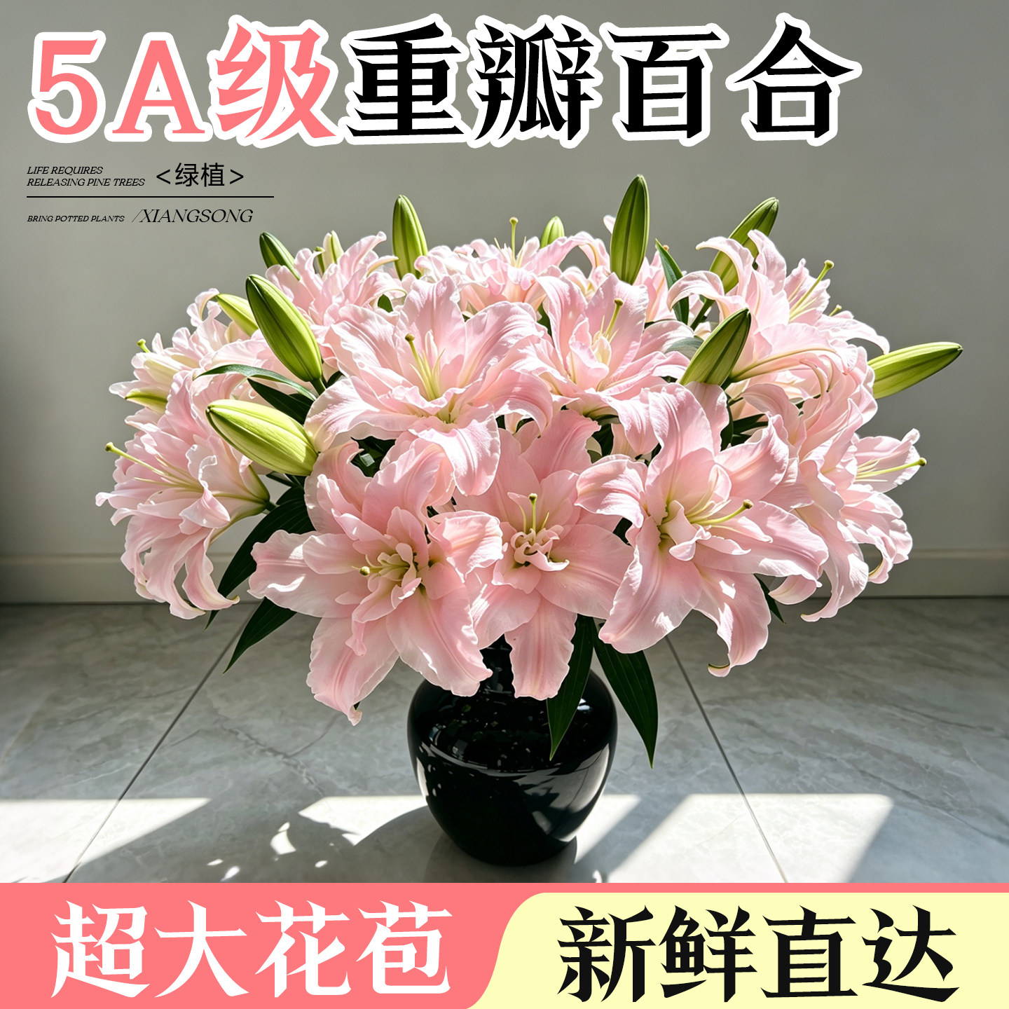 重瓣香水百合鲜花鲜切花云南直发水养花卉花束家用插花顺丰次日达