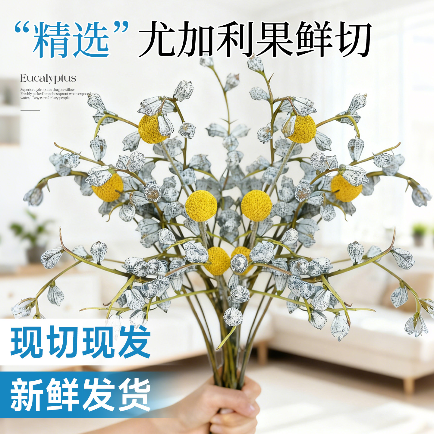 钻石尤加利果鲜花家用插花大枝