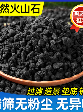 黑色天然火山石颗粒黑火山石拌土多肉铺面开鱼缸过滤底砂水族造景