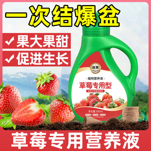 草莓专用肥料营养土果大果甜产量
