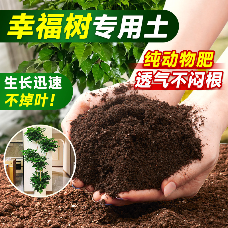幸福树专用土营养土通用花卉土壤有机泥土家用种菜种花土盆栽种植,鲜花速递/花卉仿真/绿植园艺,介质/营养土,淘宝优惠券,粉丝福利购,淘宝优惠卷