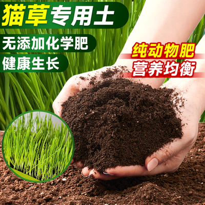 种猫草土专用营养土疏松透气土壤