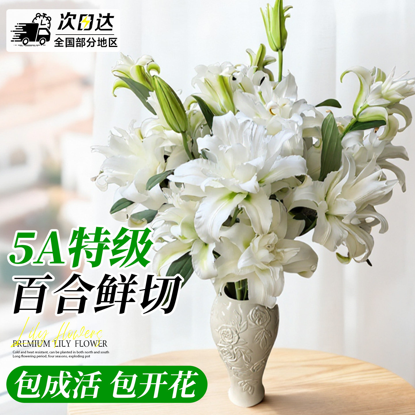 百合鲜花重瓣香水百合花鲜花云南基地直发水培植物家用插花瓶花卉,鲜花速递/花卉仿真/绿植园艺,花材,淘宝优惠券,粉丝福利购,淘宝优惠卷