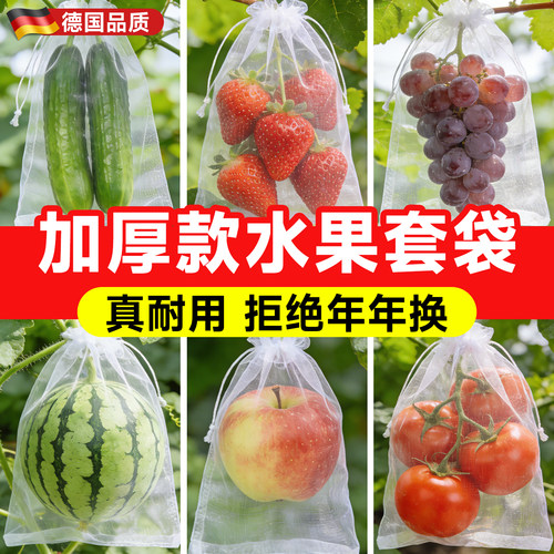 水果专用套袋飞鸟蚊虫一网打尽