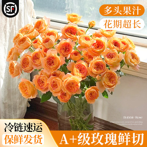 【顺丰次日达】多头玫瑰花鲜花