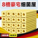 鱼缸过滤材料硝化细菌屋底滤鱼池周转箱过滤器净水系统培菌滤材